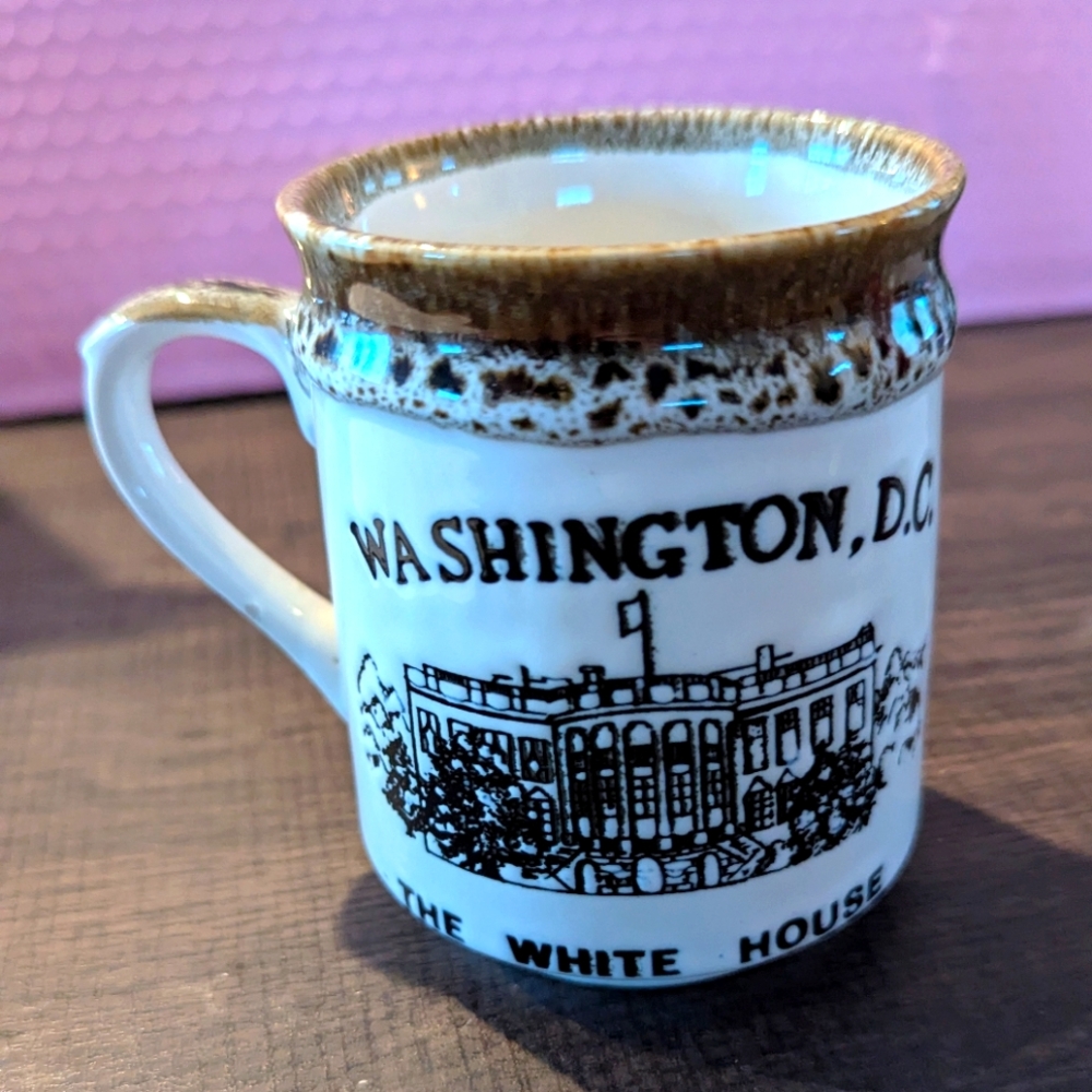 Washington D.C. Souvenir Mug - Vintage